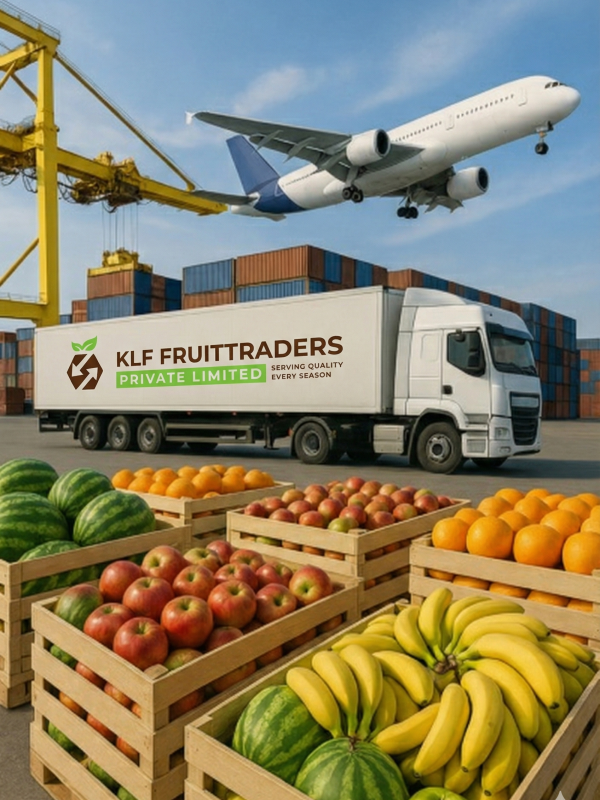 Gemini_Generated_Image_e5lkr1e5lkr1e5lk